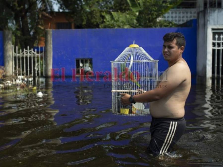 Secuelas de Eta, protestas en Sudamérica y un covid que no da tregua, las fotos de la semana en América Latina