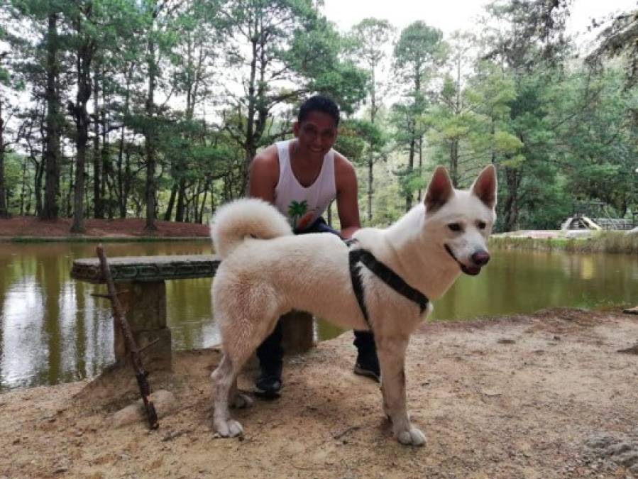 FOTOS: Huskylandia Hn, el club que une a los adorables peludos y sus dueños