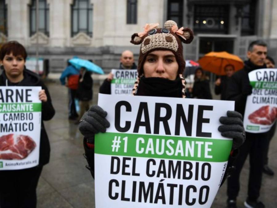 ¿Qué es la COP25? 13 datos que debe saber sobre la Cumbre del Clima
