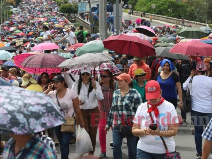 FOTOS: La masiva movilización de médicos y maestros en la capital de Honduras