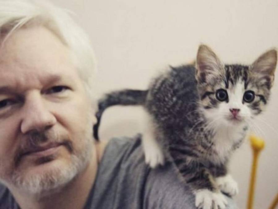 Fotos: James, el peludo amigo inseparable de Julian Assange