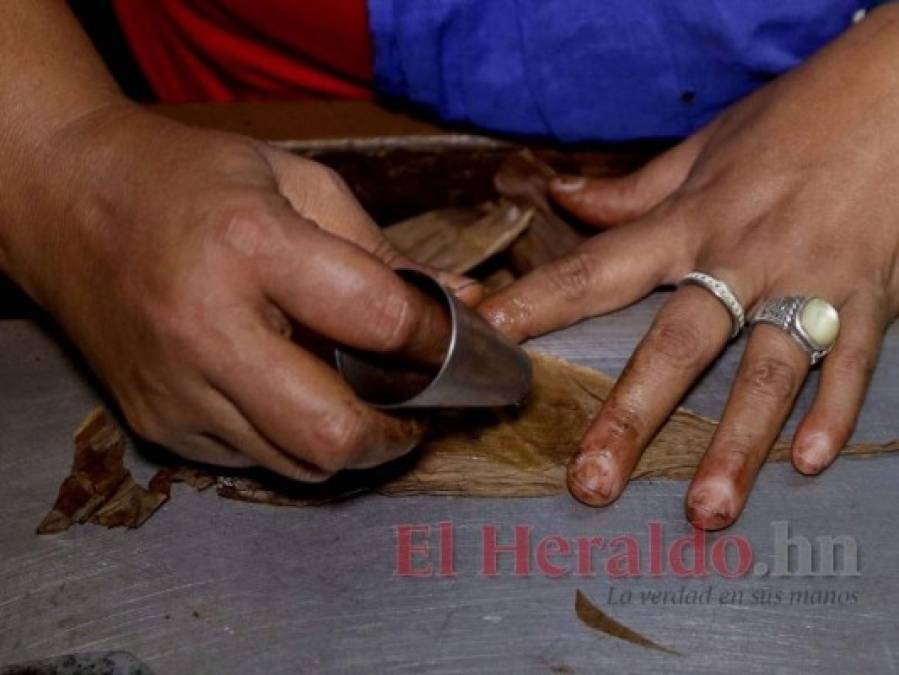 ¿Cómo se elabora el tabaco hondureño, reconocido entre los mejores a nivel mundial?