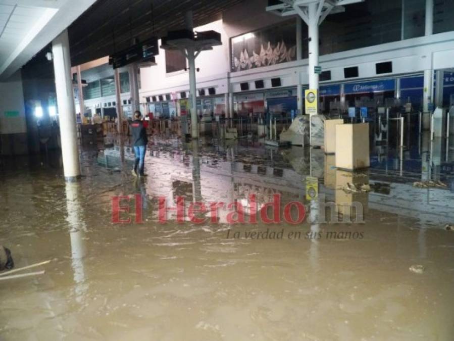 FOTOS: Así avanza la limpieza del aeropuerto de San Pedro Sula