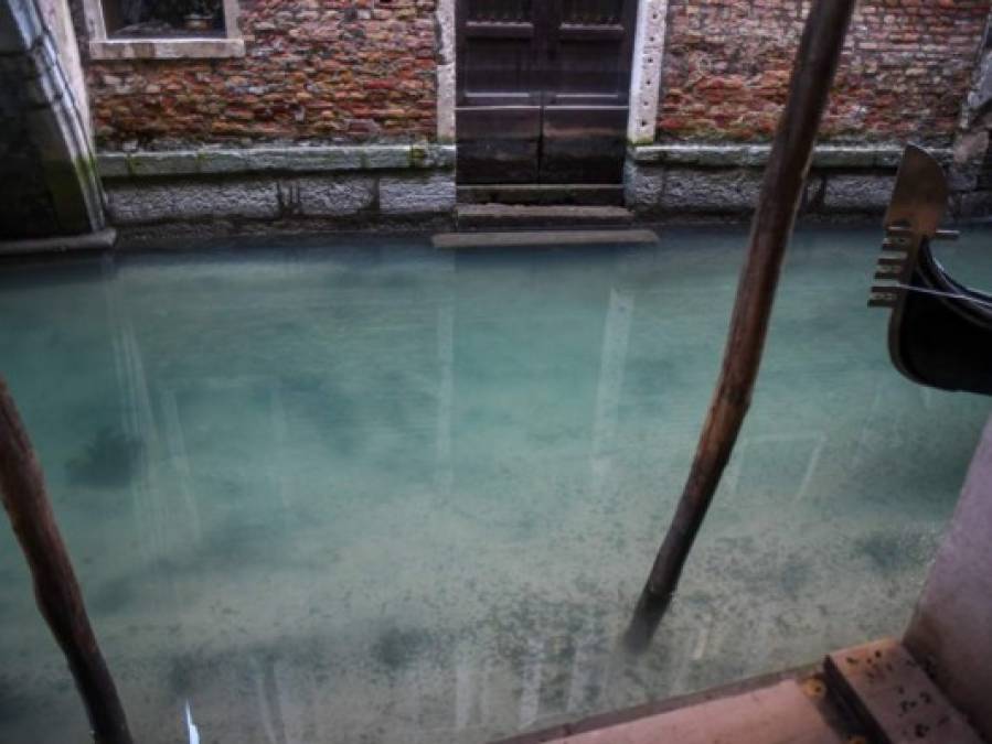 Aguas cristalinas y libres de contaminación, así lucen canales de Venecia por cuarentena