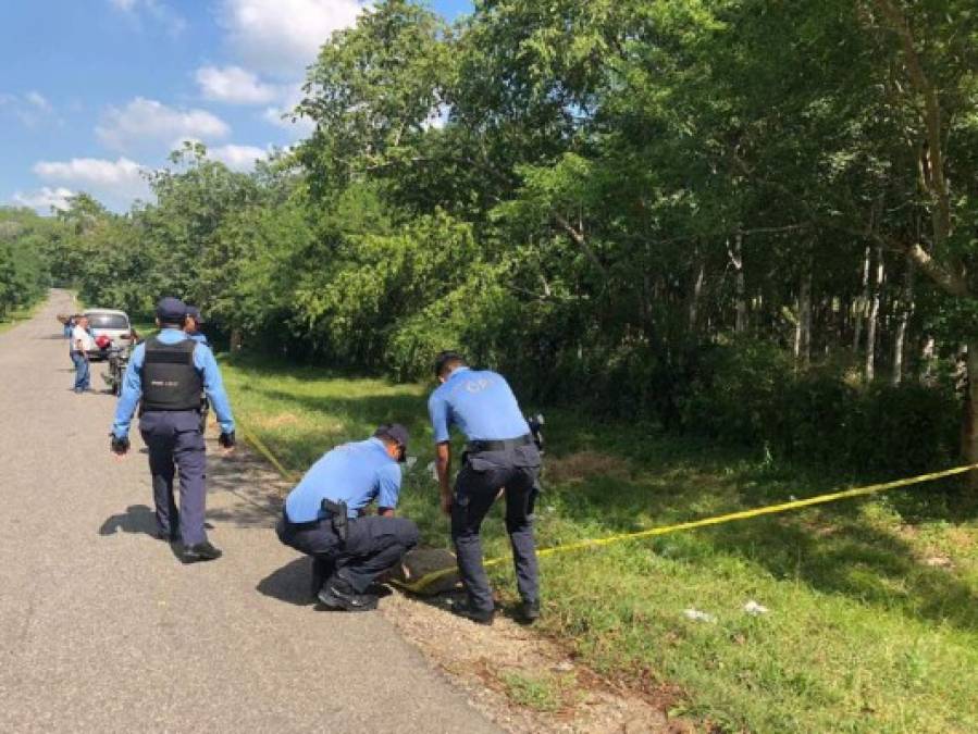 El hallazgo de dos cadáveres en Roatán y dos cabezas humanas entre los sucesos de esta semana