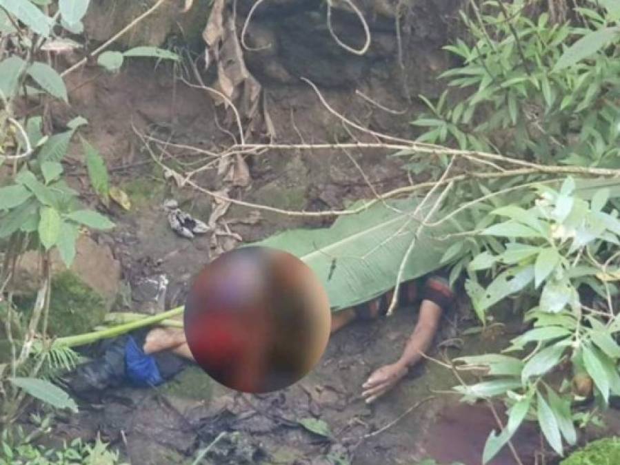 El hallazgo de dos cadáveres en Roatán y dos cabezas humanas entre los sucesos de esta semana