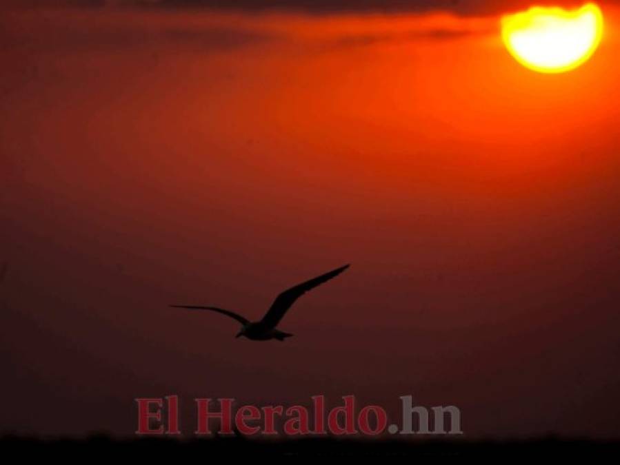 FOTOS: Choluteca, una ciudad bañada en riquezas