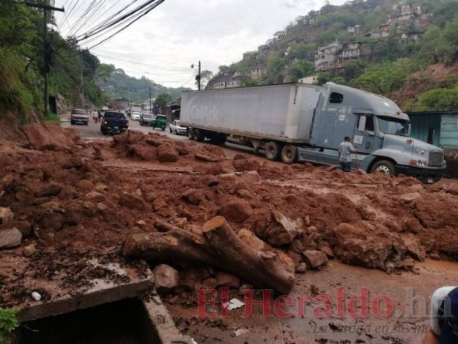 Aludes, inundaciones y árboles caídos entre daños por lluvias en la capital