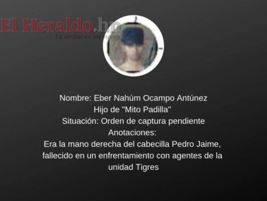 ¿Quién es quién en la estructura criminal de 'Mito' Padilla?