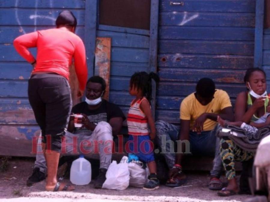 Entre la necesidad y el abandono: Cientos de migrantes haitianos deambulan en la capital