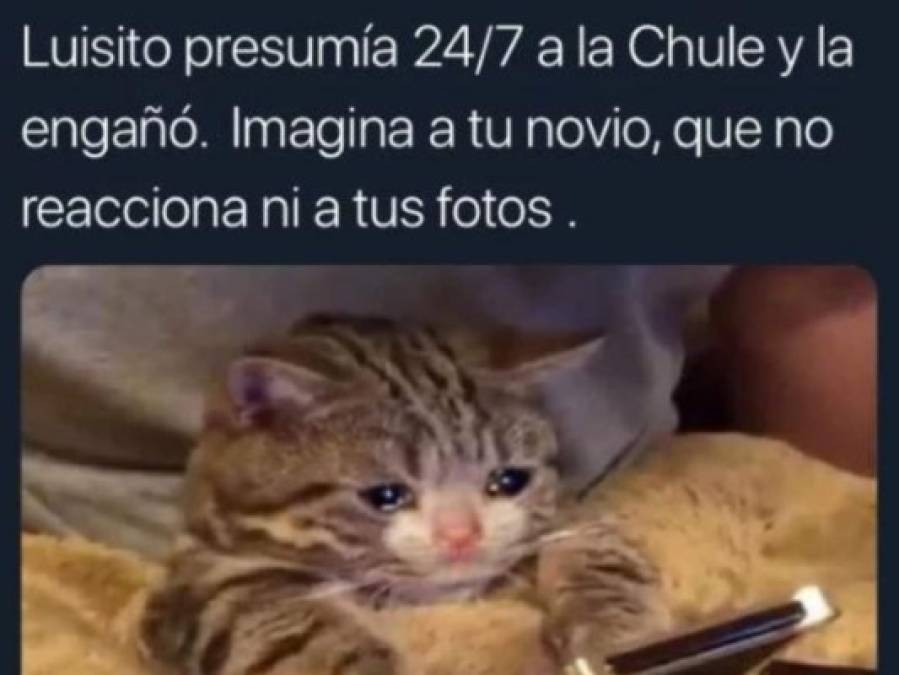 Los irónicos memes que dejó la infidelidad de Luisito Comunica a 'La Chule'