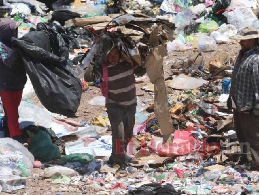 FOTOS: Así es un día de trabajo de los pepenadores en el crematorio de la capital de Honduras