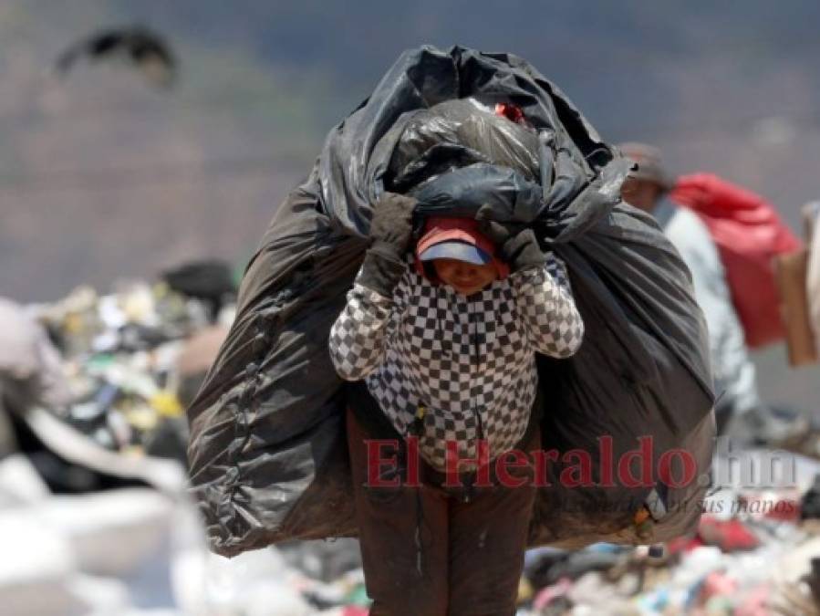 FOTOS: Así es un día de trabajo de los pepenadores en el crematorio de la capital de Honduras