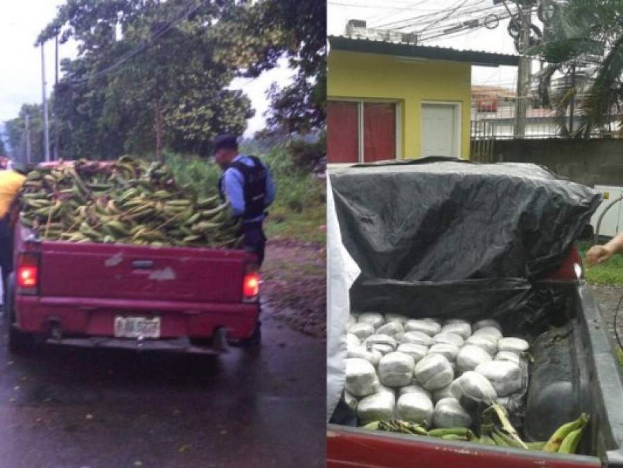 Las formas más 'inusuales' de transportar droga que han sido detectadas en Honduras