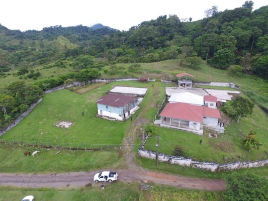 FOTOS: Estos son los bienes asegurados a la red de lavado de activos