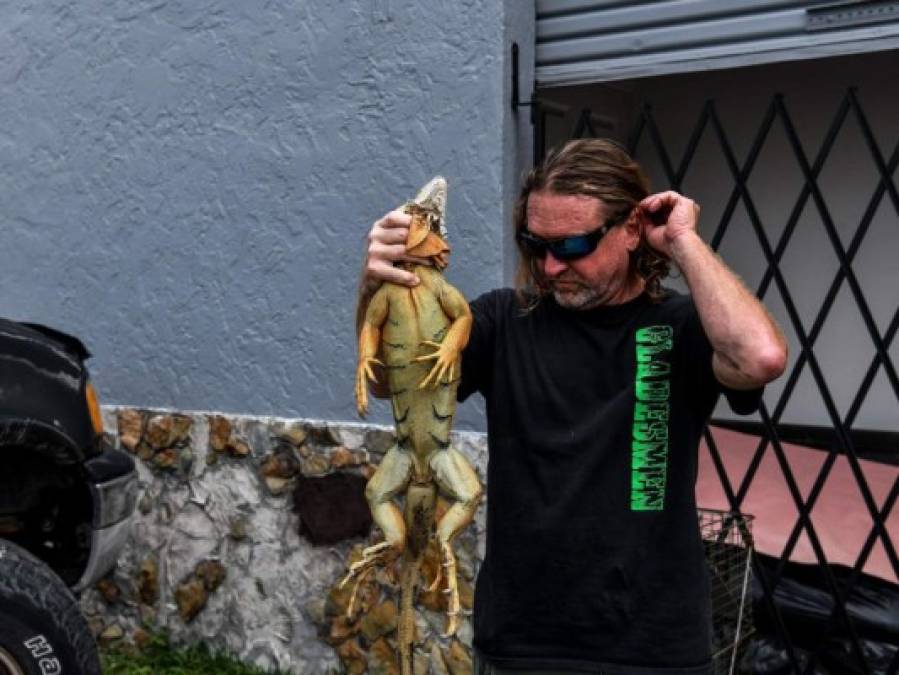 FOTOS: Hombre en EEUU hace mascarillas con piel de iguanas y serpientes pitón