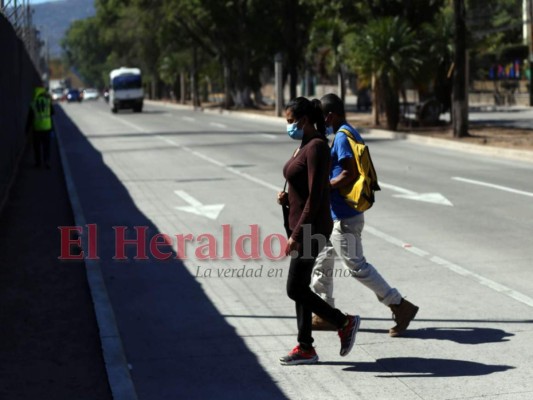 Tras atropellos comienzan a señalizar bulevar Los Próceres (Fotos)