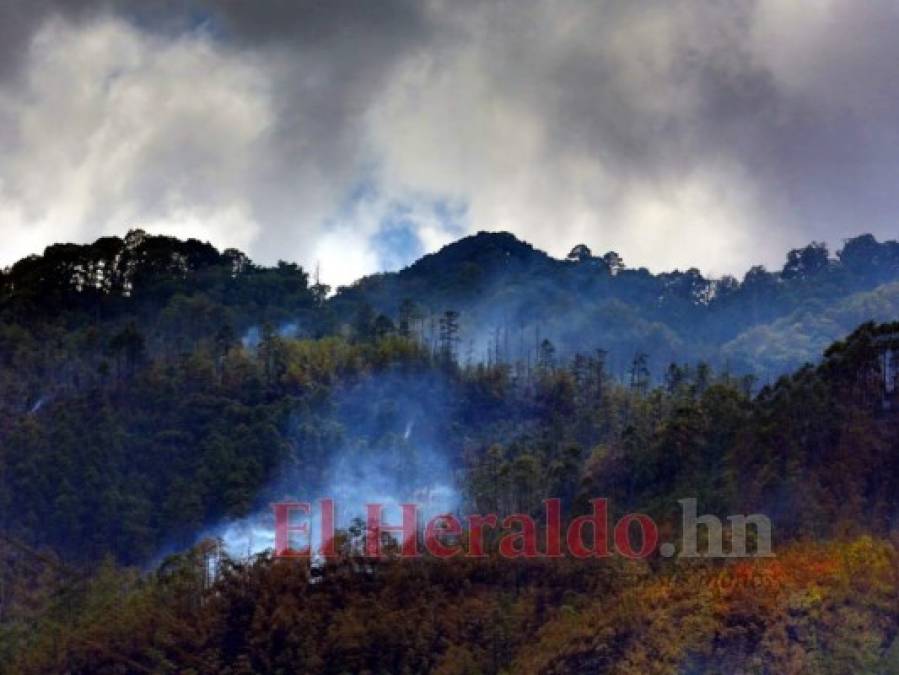 FOTOS: Así luce el cerro Upare tras voraz incendio que duró tres días