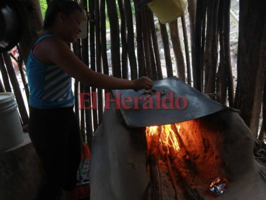 Imágenes que muestran la alarmante crisis por la sequía en el Corredor Seco