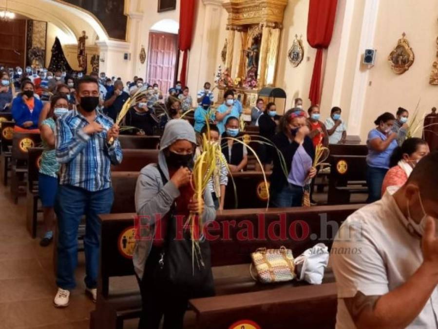 Iglesia Católica conmemora Domingo de Ramos y da la bienvenida a Semana Santa