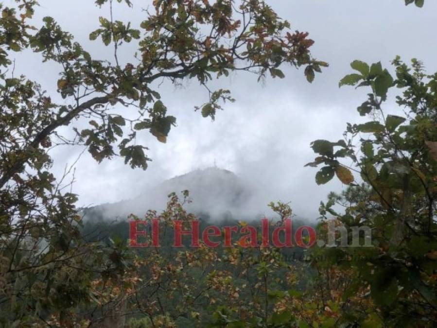10 datos que debe conocer de la Montaña Triquilapa, el tesoro verde de la capital  