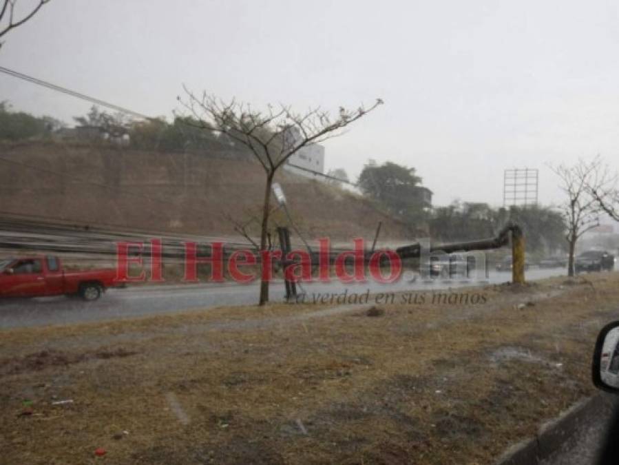 FOTOS: Postes caídos, mercados y calles inundadas, así permanecía la capital durante intensa lluvia