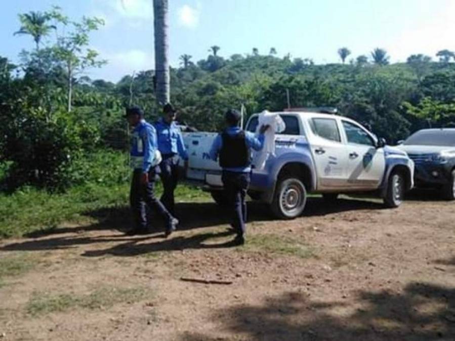 Tragedia vial, una masacre y dos activistas asesinados: Los sucesos de la semana