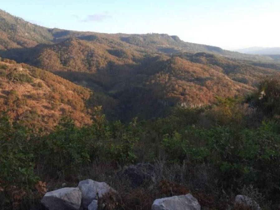 Armas, drogas y sicarios, lo encontrado en el campamento de la MS (Fotos)