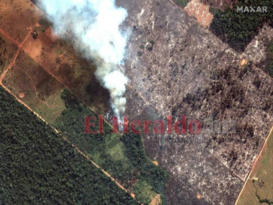 FOTOS: Ocho datos que debes saber sobre los incendios en la Amazonia