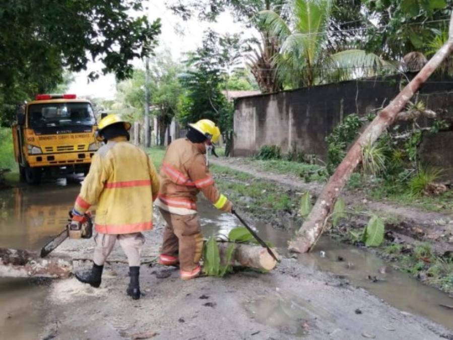 Fuertes lluvias dejan aludes, inundaciones y caídas de árboles en distintos sectores del país