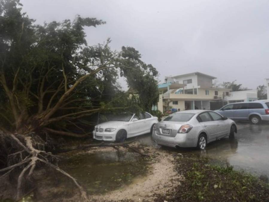 Árboles caídos, negocios destruidos y calles sin acceso: el impacto del huracán Delta