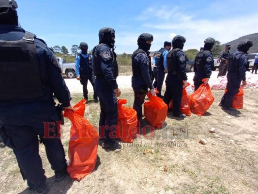 Incineran 2,392 kilos de clorhidrato de cocaína decomisados en Honduras   