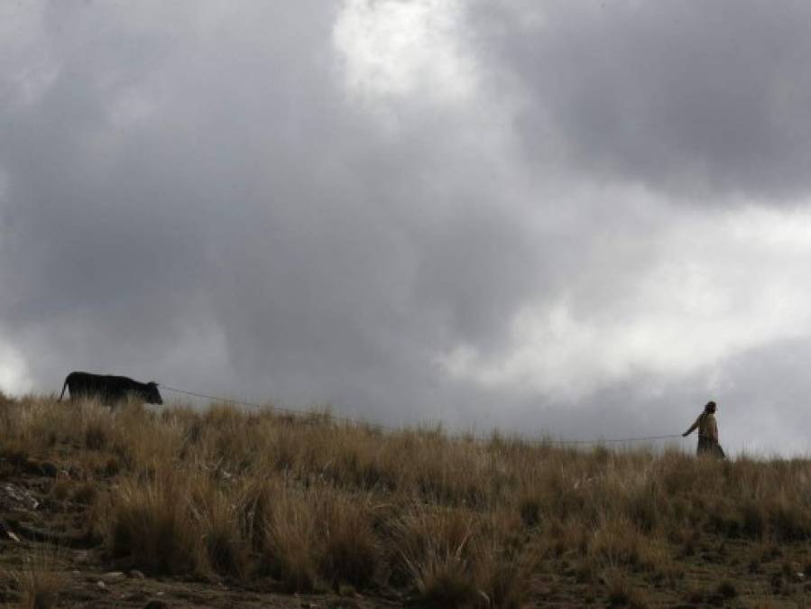 Viviendo entre covid y protestas, estas son las mejores fotos de la semana en América Latina