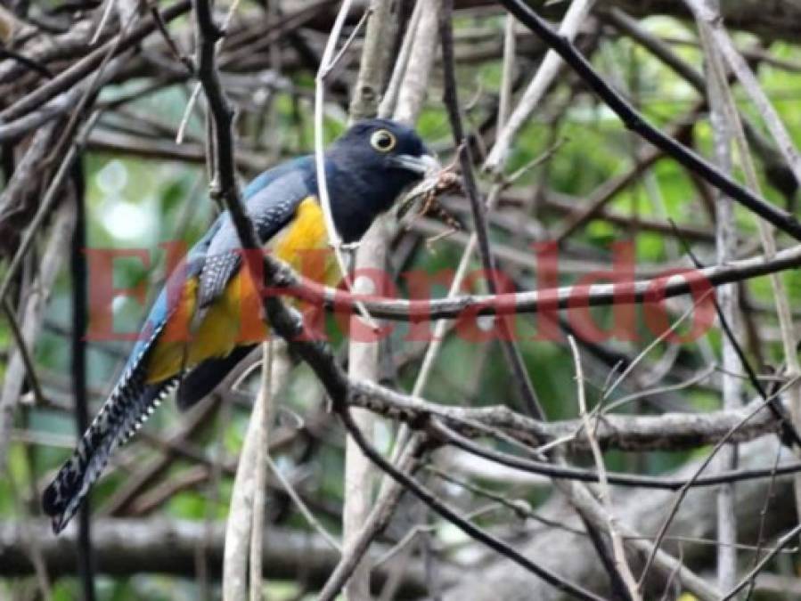 FOTOS: La Libertad, Comayagua, un lugar arqueológico por descubrir