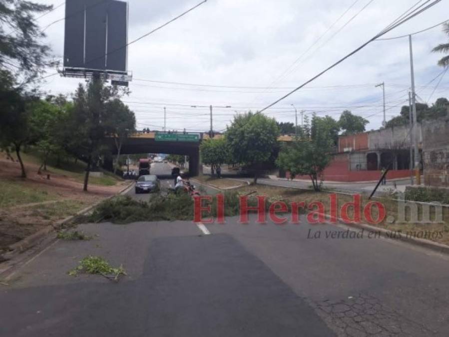 Piedras, llantas, ramas y bombas lacrimógenas: así fueron los bloqueos de calles en la capital de Honduras