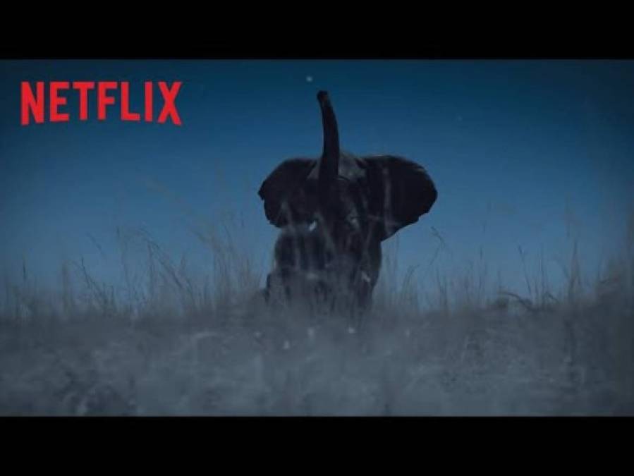 Los estrenos de Netflix que no te puedes perder en enero de 2020