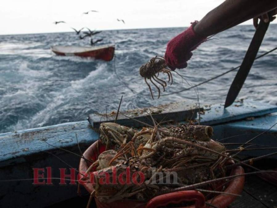 Honduras: Buzos retan la muerte en busca de langostas en La Mosquitia