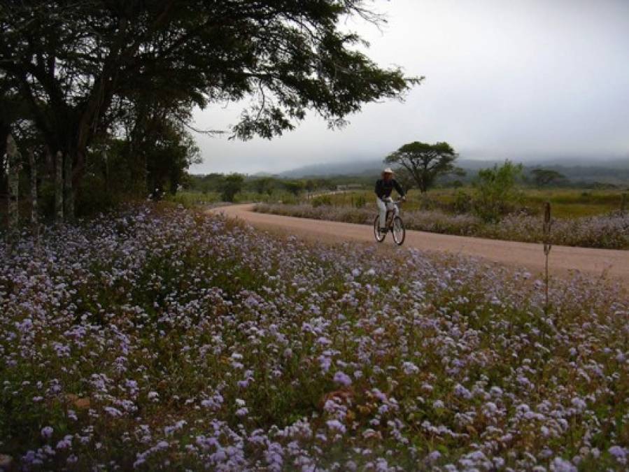 Biósfera de San Marcos de Colón y su cautivadora belleza natural que adorna Honduras