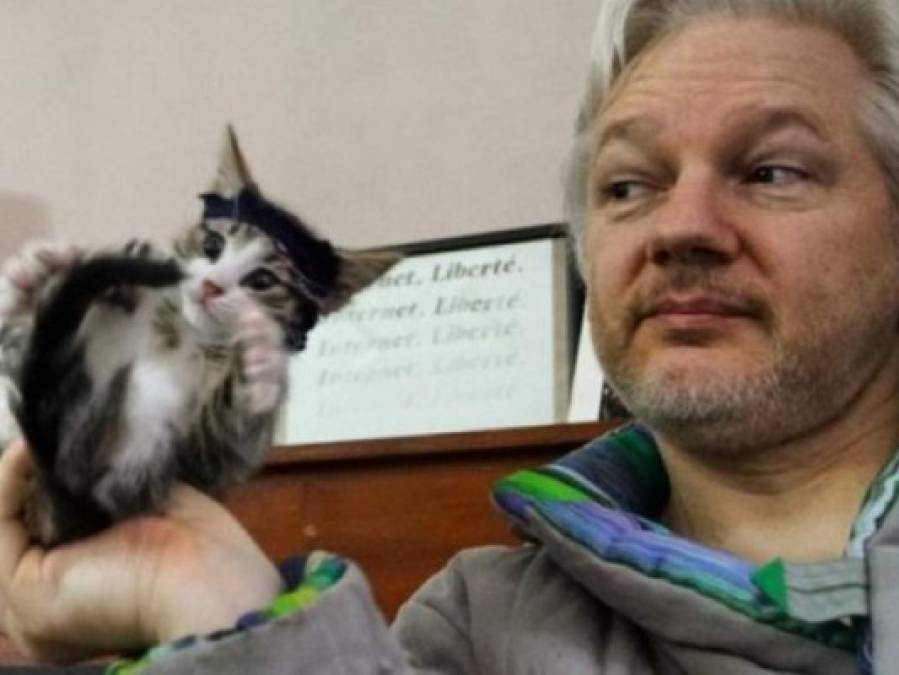 Fotos: James, el peludo amigo inseparable de Julian Assange