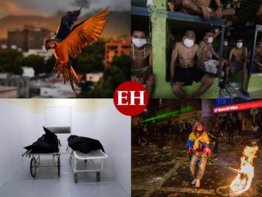 Las mejores fotos de la semana en América Latina  