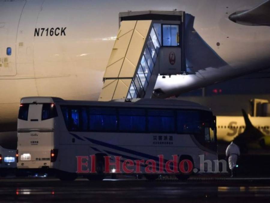 FOTOS: Así fue la evacuación de los estadounidenses confinados en crucero por coronavirus