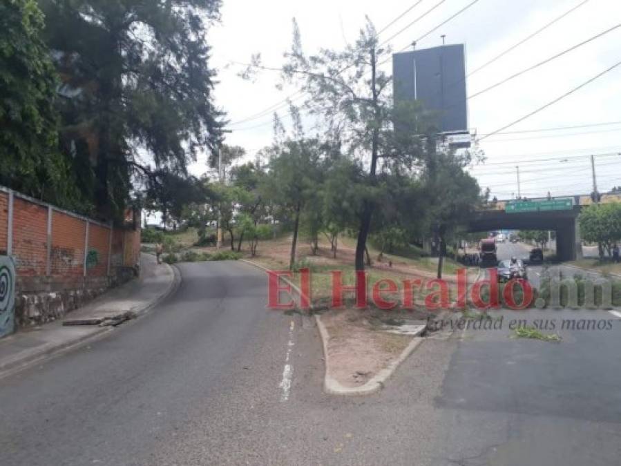 Piedras, llantas, ramas y bombas lacrimógenas: así fueron los bloqueos de calles en la capital de Honduras