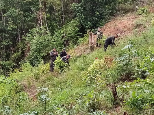 FOTOS: Así es la zona donde desmantelaron narcolaboratorio en Colón