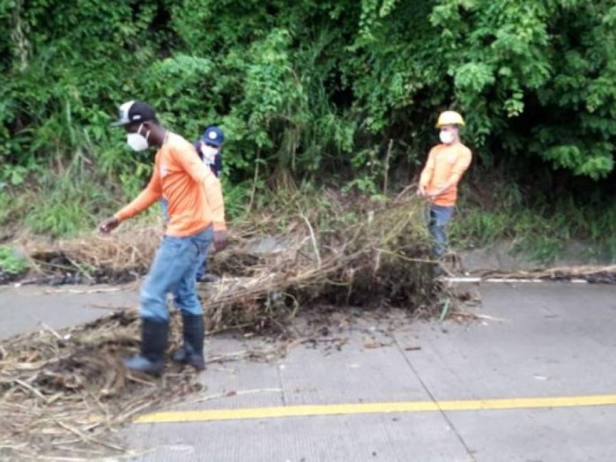 Fuertes lluvias dejan aludes, inundaciones y caídas de árboles en distintos sectores del país