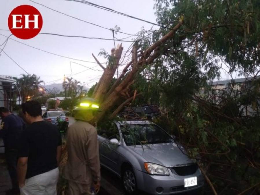 FOTOS: Vehículos arrastrados por la corriente, hoyos y calles inundadas, los estragos de las lluvias en Honduras