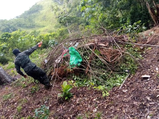 FOTOS: Así es la zona donde desmantelaron narcolaboratorio en Colón