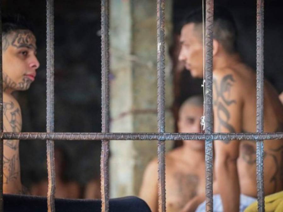Temor en El Salvador por ola homicida y uso de fuerza letal para contenerla
