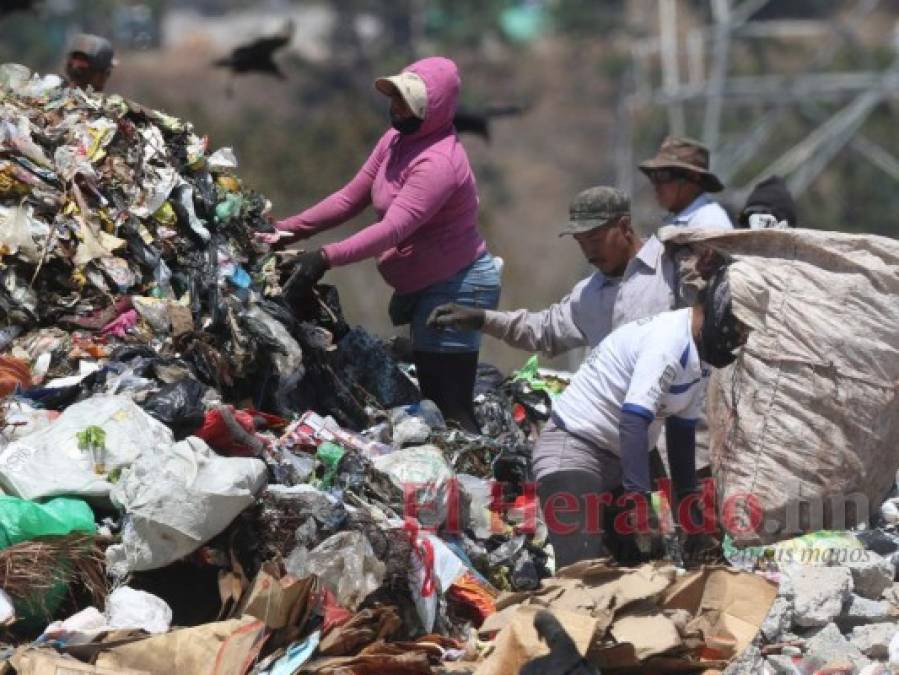 FOTOS: Así es un día de trabajo de los pepenadores en el crematorio de la capital de Honduras