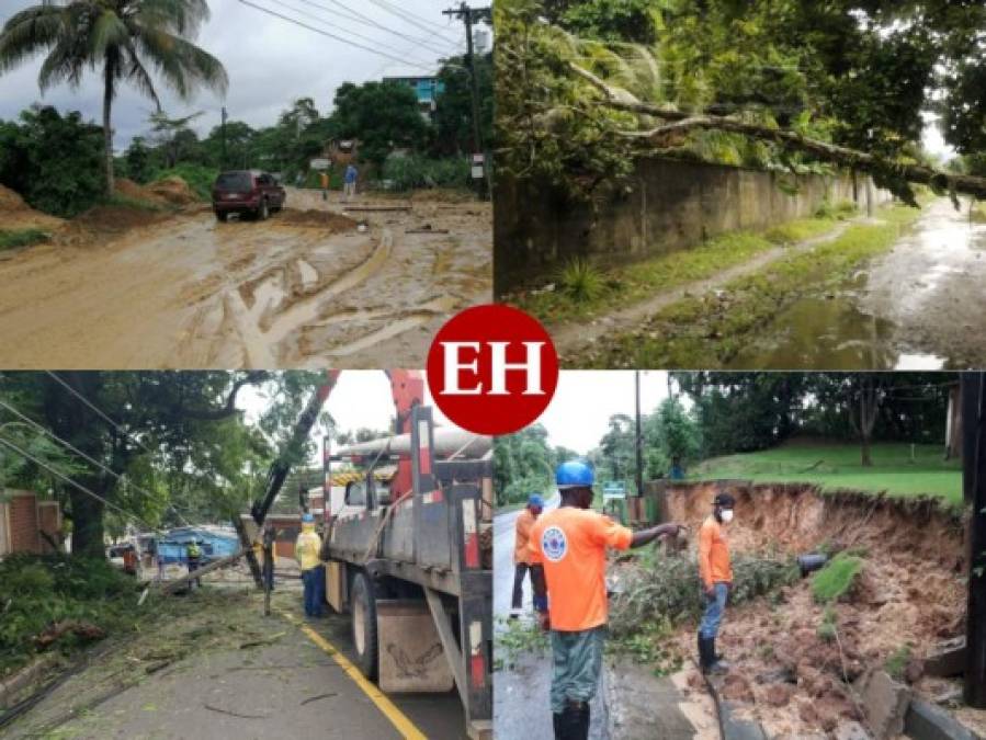 Fuertes lluvias dejan aludes, inundaciones y caídas de árboles en distintos sectores del país