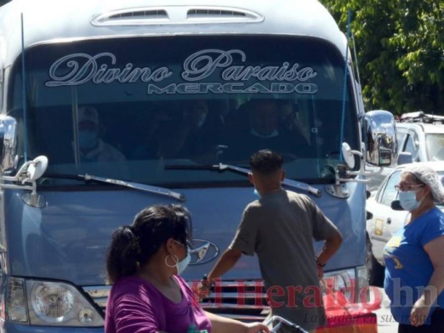 Transporte urbano inicia pilotaje con 50% de pasajeros ¿Se cumplen medidas?